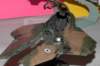 sf_002_small.jpg