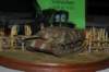 arm17_023_small.jpg
