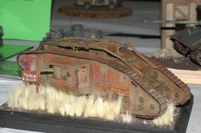 arm17_071.jpg