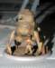 scfi_017_small.jpg