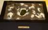 arm18_001_small.jpg