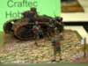 arm18_002_small.jpg