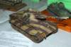 arm18_006_small.jpg