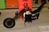 aut18_057_small.jpg