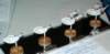 spa18_001_small.jpg