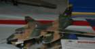 dsc_3603_small.jpg