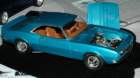 dsc_3683_small.jpg