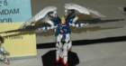 dsc_4385_small.jpg
