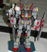 dsc_4413_small.jpg
