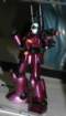 dsc_4417_small.jpg