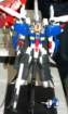 dsc_4436_small.jpg